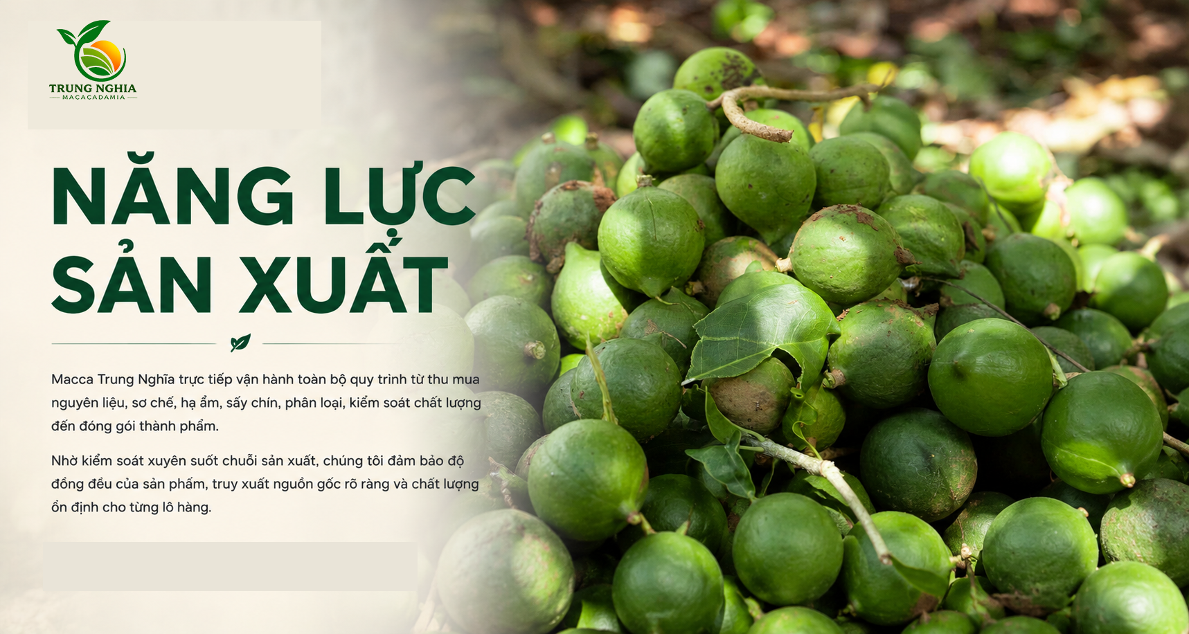 nang luc 1